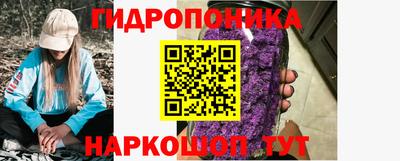 a pvp Дубна