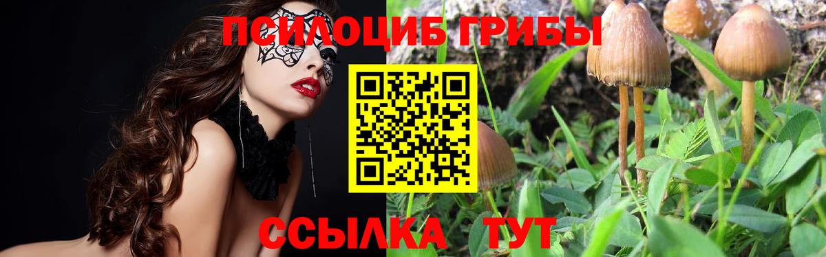 Псилоцибиновые грибы Magic Shrooms  как найти закладки  Вход с VPN  Нижний Новгород  Галлюциногенные грибы Magic Shrooms 